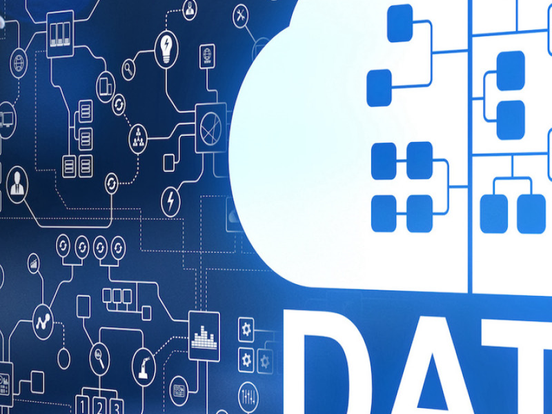 Custom Data Management
